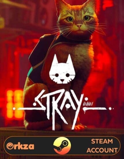 STRAY Steam Account